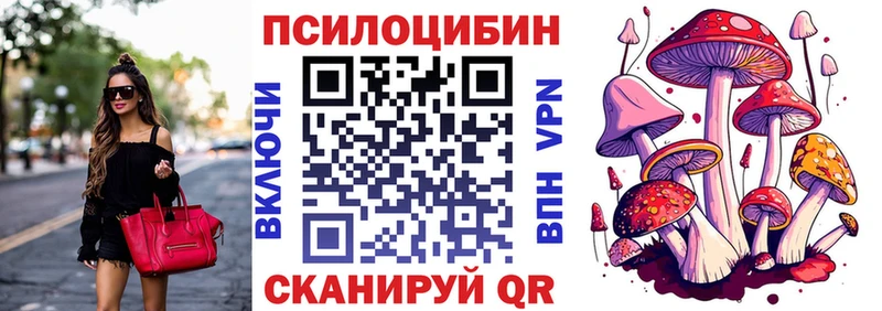 Псилоцибиновые грибы GOLDEN TEACHER Купить где Протвино
